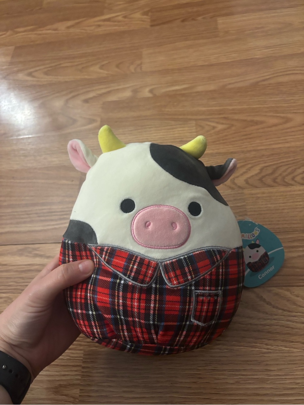 NWT Connor The Cow Squishmallow